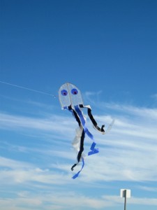 Yes It Is A Bubble Wrap Jelly Fish Kite!