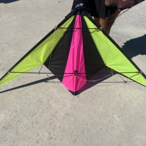 Wind Toys Cheetah