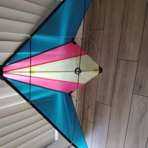 Wind Toys Cheetah