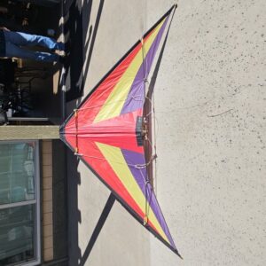 Action Kites Delta