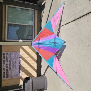 Delta Sport Kite