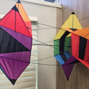 Wind n Sun Rotating 6 winged box kite