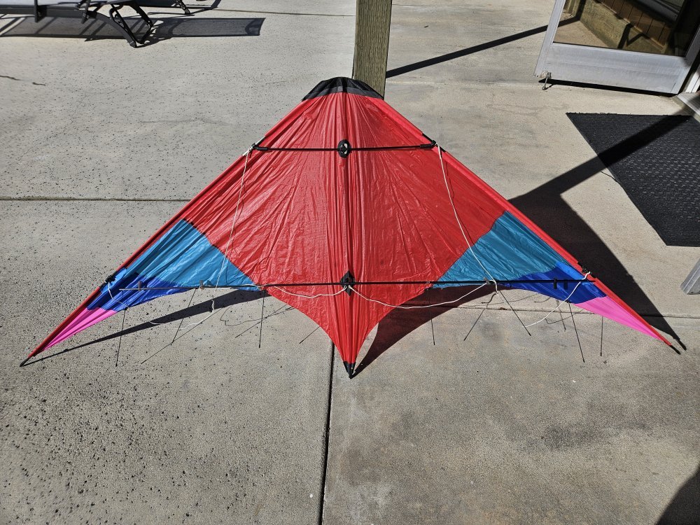 Wind toys Cheetah