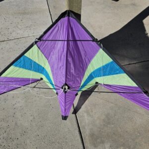 Wind Toys Cheetah