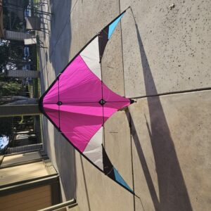 Delta Sport Kite