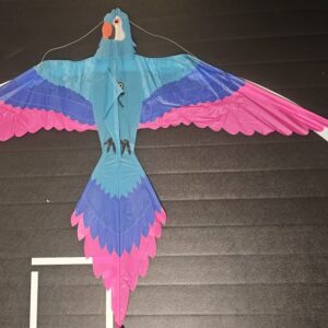 Joel Scholz Parrot - Sky Delight