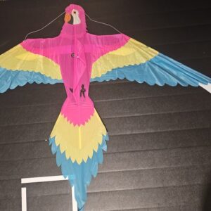 Joel Scholz 10/1996 Parrot - Sky Delight