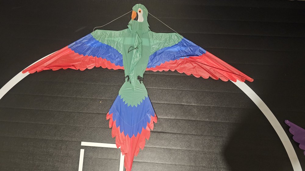 Joel Scholz. 09/1996 Parrot - Sky Delight