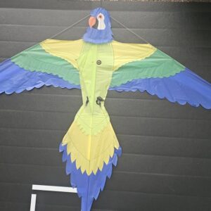 Joel Scholz. 09/1996 Parrot - Sky Delight