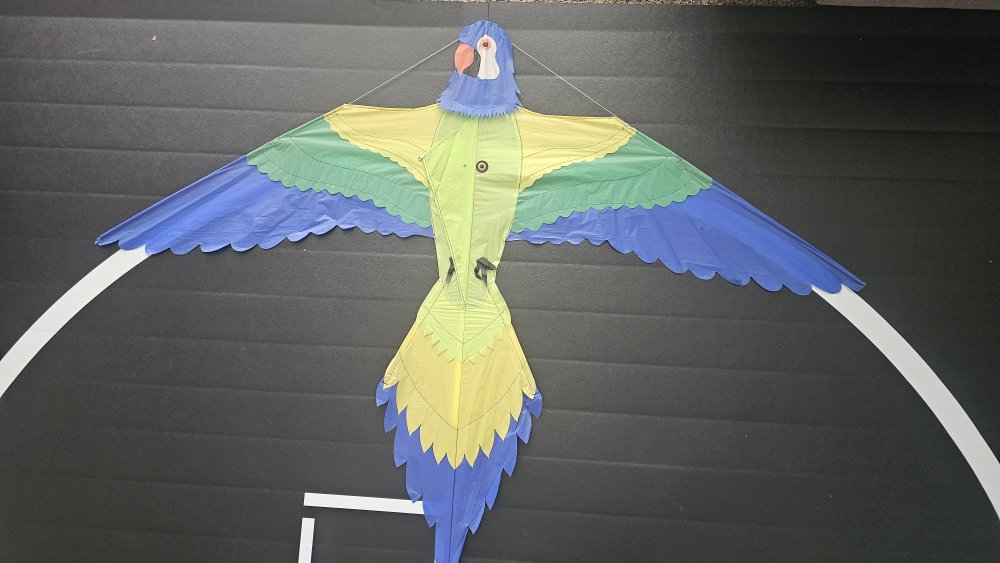 Joel Scholz. 09/1996 Parrot - Sky Delight