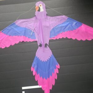 Joel Scholz. 09/1996 Parrot - Sky Delight