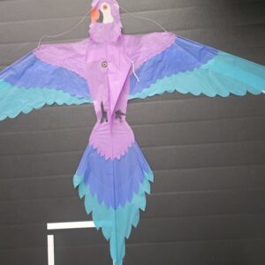 Joel Scholz. 10/1996 Parrot - Sky Delight