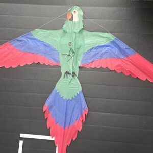 Joel Scholz. 09/1996 Parrot - Sky Delight