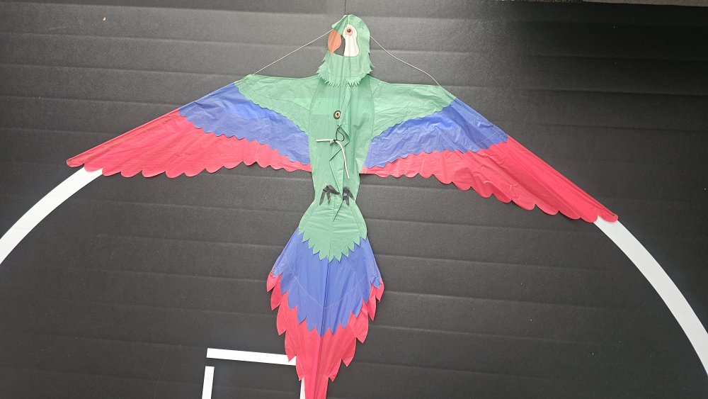 Joel Scholz. 09/1996 Parrot - Sky Delight