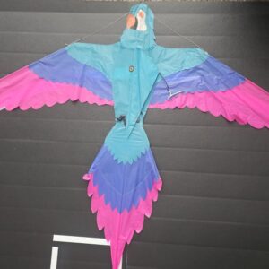 Joel Scholz. 09 / 1996 Parrot - Sky Delight