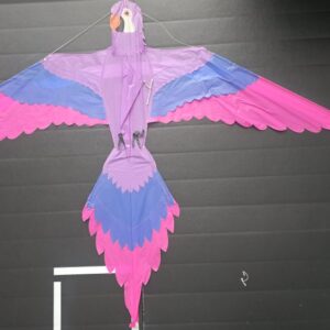 Joel Scholz. 09/1996 Parrot - Sky Delight
