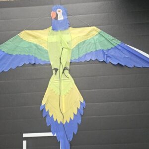 Joel Scholz. 09/1996 Parrot - Sky Delight