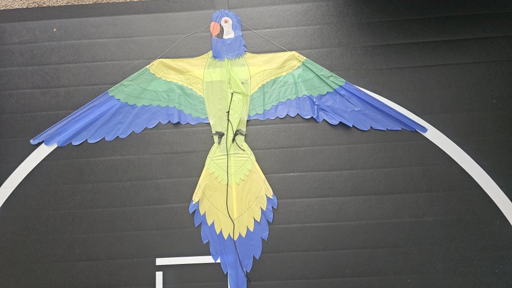Joel Scholz. 09/1996 Parrot - Sky Delight
