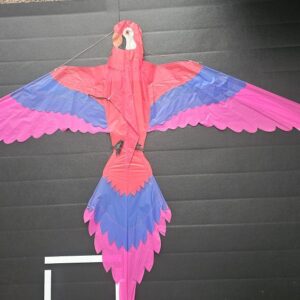 Joel Scholz. 09/1996 Parrot - Sky Delight