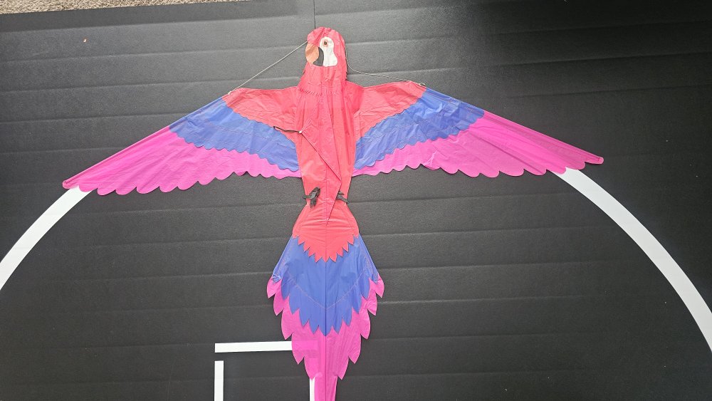Joel Scholz. 09/1996 Parrot - Sky Delight