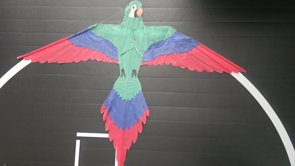 Joel Scholz. 01 / 1993 Parrot - Sky Delight