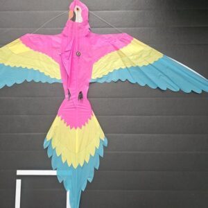 Joel Scholz. 09/1996 Parrot - Sky Delight