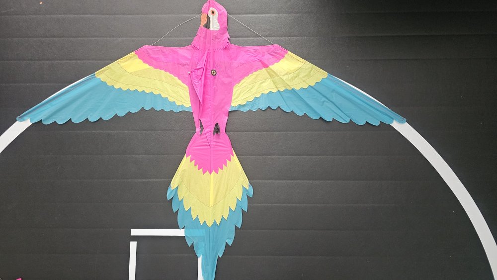 Joel Scholz. 09/1996 Parrot - Sky Delight