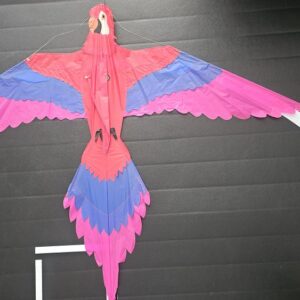 Joel Scholz. 09/1996 Parrot - Sky Delight