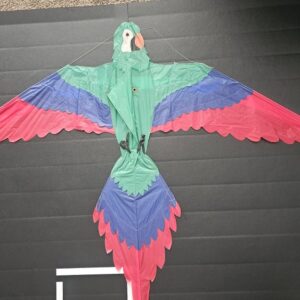 Joel Scholz. 02/1993 Parrot - Sky Delight