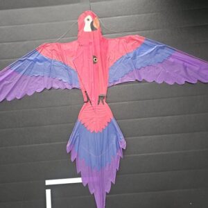 Joel Scholz. 02/1993 Parrot - Sky Delight