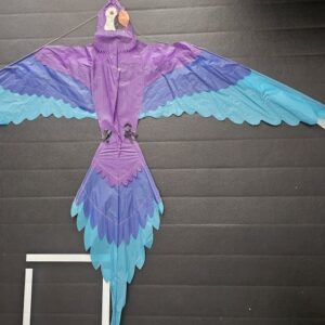 Joel Scholz. 01/14/1993 Parrot - Sky Delight