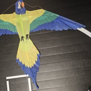 Joel Scholz. 01 /1993 Parrot - Sky Delight