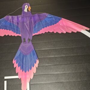 Joel Scholz. 02/1993 Parrot - Sky Delight