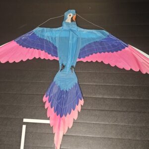 Joel Scholz 02/1992 Parrot - Sky Delight