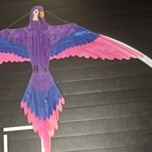 Joel Scholz. 02/1992 Parrot - Sky Delight