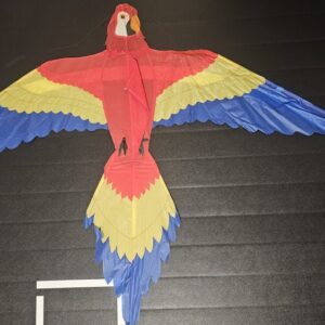 Joel Scholz. 01/1992 Parrot - Sky Delight