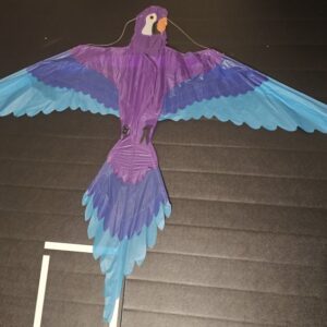Joel Scholz. 03/1993 Parrot - Sky Delight