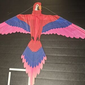 Joel Scholz. 10/1992 Parrot - Sky Delight