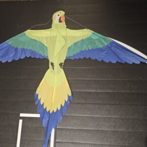 Joel Scholz Parrot - Sky Delight