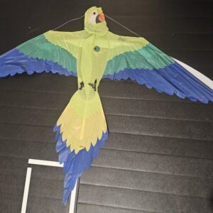 Joel Scholz. 02/1993 Parrot - Sky Delight