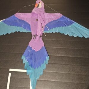 Joel Scholz. 10/1996 Parrot - Sky Delight