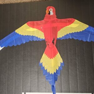 Joel Scholz. 11/96 Parrot