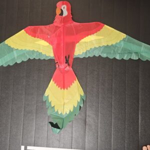 Joel Scholz. 11/96 Parrot - Sky Delight