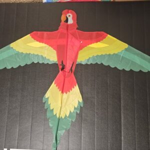 Joel Scholz. 11/96 Parrot - Sky Delight