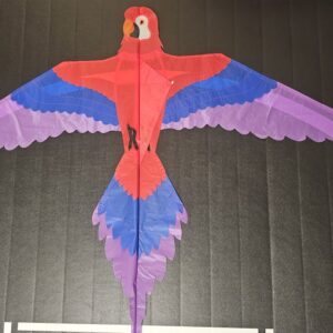 Joel Scholz. 11/96 Parrot - Sky Delight