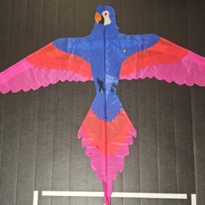 Joel Scholz. 11/96 Parrot - Sky Delight