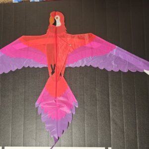 Joel Scholz. 11/96 Parrot - Sky Delight
