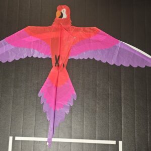 Joel Scholz. 11/96 Parrot - Sky Delight