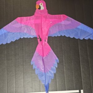 Joel Scholz. 11/96 Parrot - Sky Delight