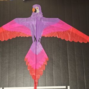 Joel Scholz. 11/96 Parrot - Sky Delight